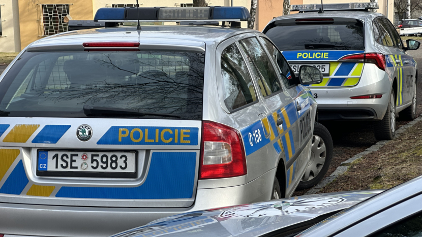 Policie pátrá po 15leté dívce z Čelákovic, rodiče se bojí o její život a zdraví