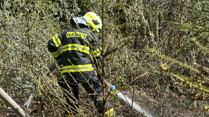Kvůli suchu a větru hrozí od noci v části ČR nebezpečí vzniku požárů