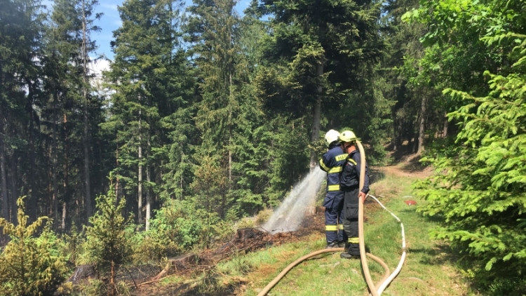 Aktuálně: Čtyři jednotky hasičů likvidují požár v lese