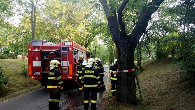 Zásah hasičů si nyní v podvečer vyžádal hořící strom v Příbrami