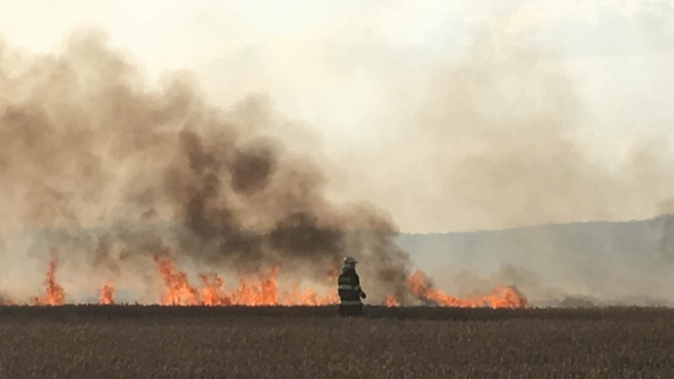Aktuálně: Čtyřmetrové plameny zachvátily pole, hasiči bojují s ohněm