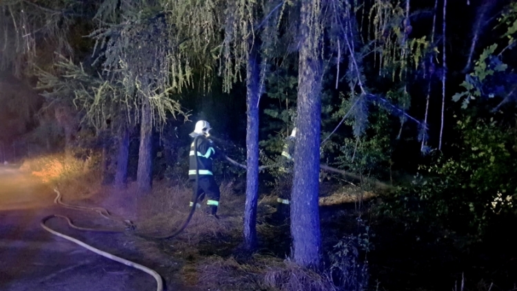 Aktuálně: Hasiči likvidují požár hrabanky a lesního porostu u Zdaboře