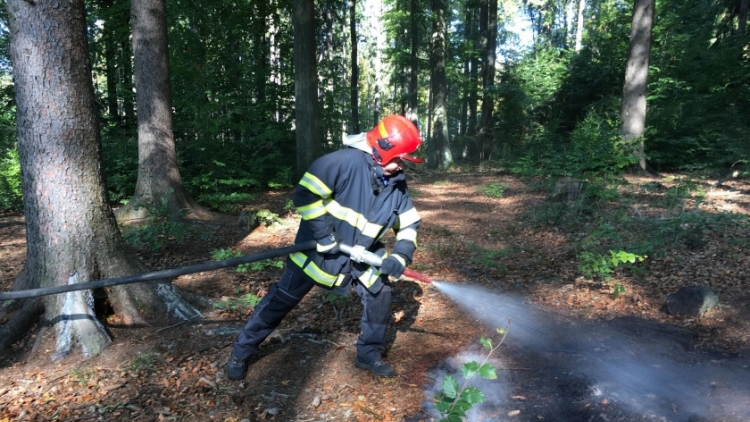 Aktuálně: Hasiči zasahují u požáru hrabanky v lesním porostu