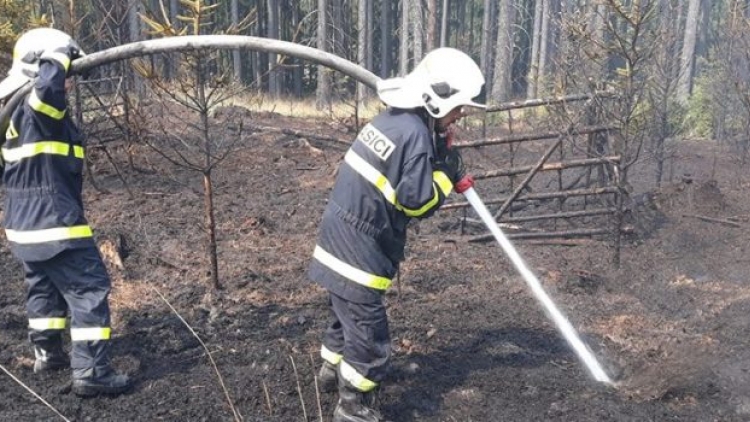 Aktuálně: Rozsáhlý požár lesa v nepřístupném terénu likvidují hasiči na Příbramsku