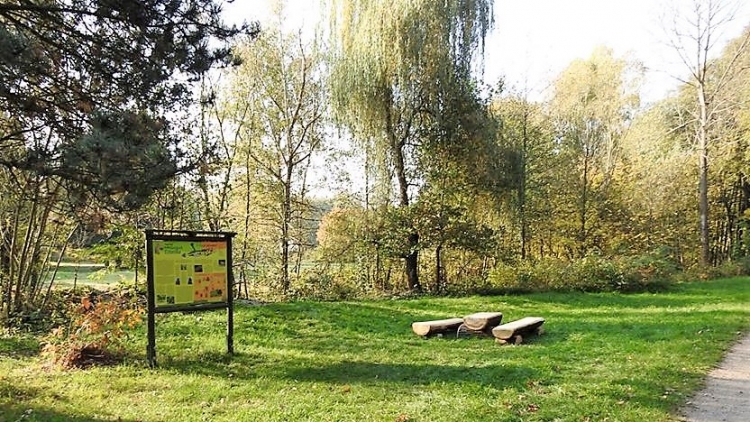 Lesopark Litavka nabízí krásné podzimní scenérie, posedět můžete na nových lavičkách