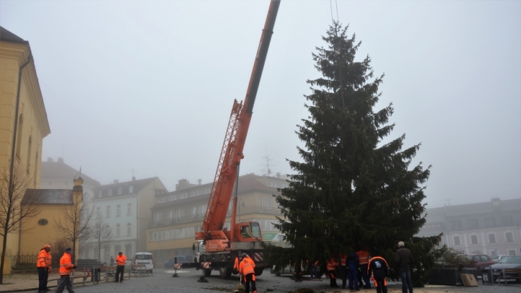 Vánoční strom jsme provázeli z Lazce až na náměstí TGM