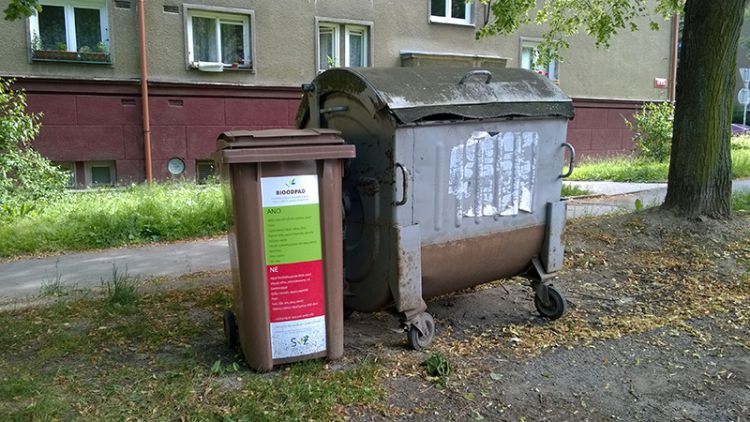 Ve městě jsou kontejnery na bioodpad, co do nich patří?