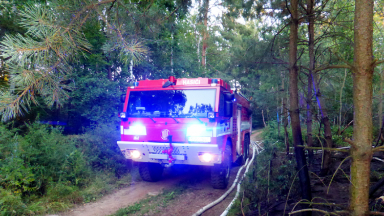 Aktuálně: Hasiči zasahují u dalšího požáru lesa