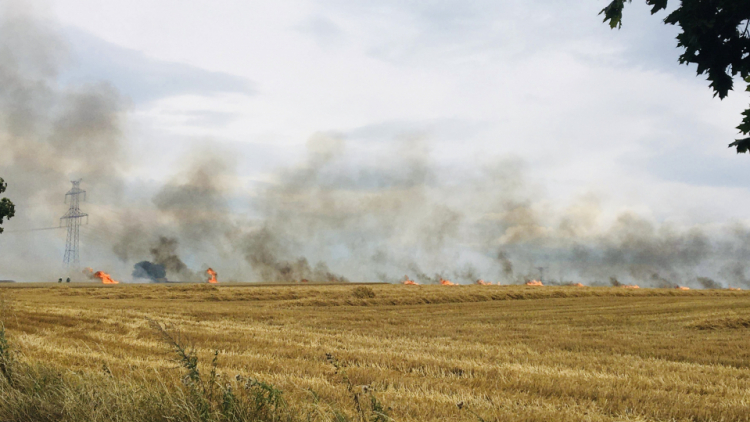 Aktuálně: Devět hasičských jednotek zdolává požár pole
