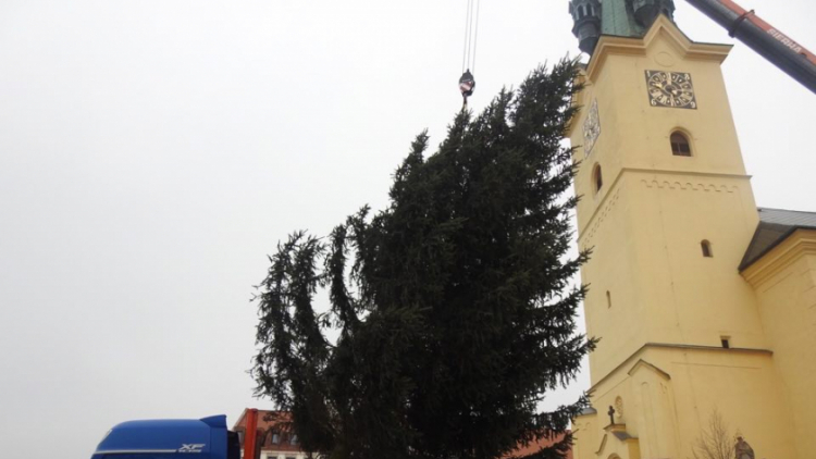 Příbramské náměstí ode dneška zdobí vánoční strom