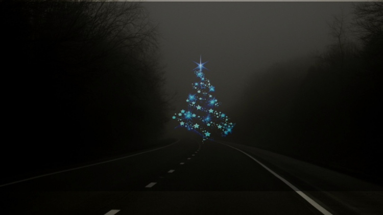 Na silnici viděl vánoční stromeček, strhl řízení a skončil na boku. Stromeček nikdo nenašel