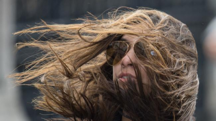 Meteorologové varují: Žene se silný vítr, hrozí poškození stromů