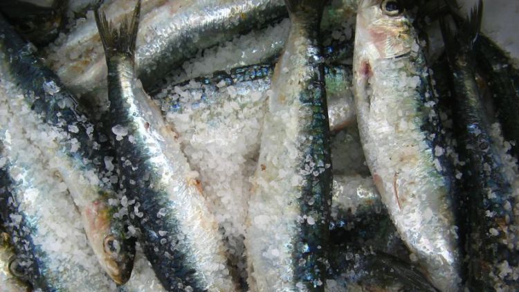 Muž v dobříšském supermarketu ukradl téměř 30 kusů ryb
