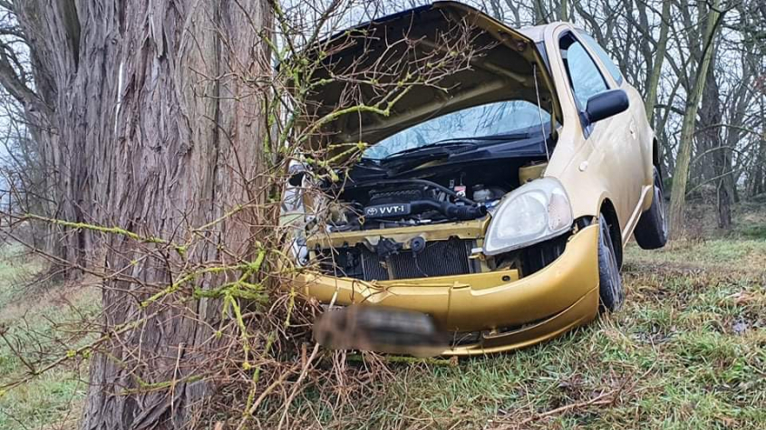 Řidička (18) se lekla srny a narazila do stromu: Se svým spolujezdcem skončili v nemocnici