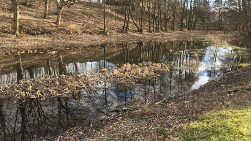 Revitalizace Čekalíkovského rybníka je podpořena dotací