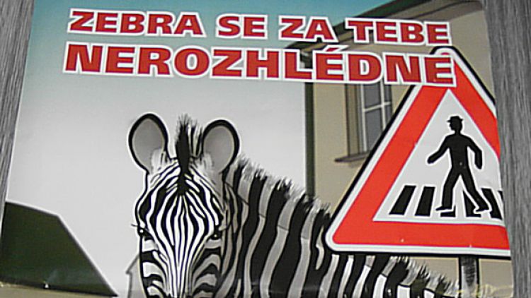 Akce „Zebra se za tebe nerozhlédne“