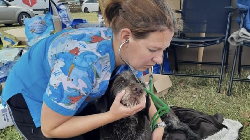 Fotogalerie: Hasiči na Moravě vyprostili ze sutin živého psa