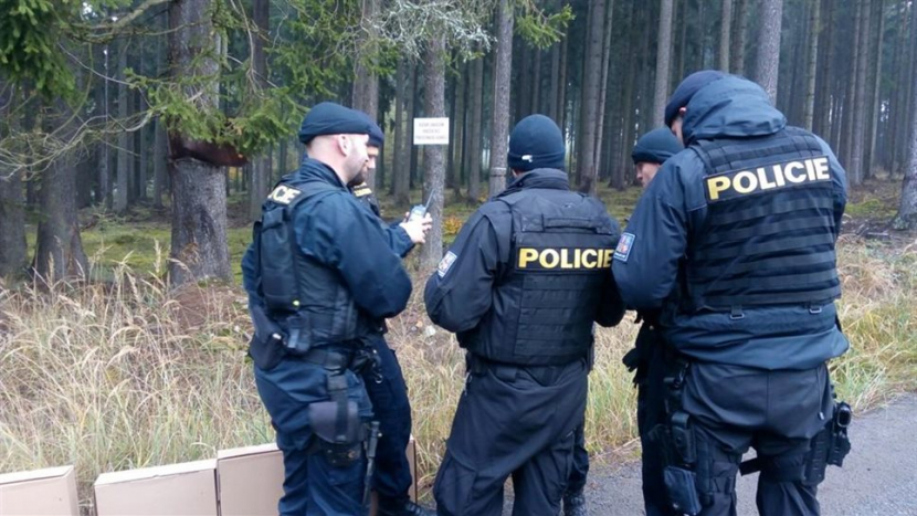 Policie ukončila pátrání po medvědovi u Brandýsa, zvíře nenašla