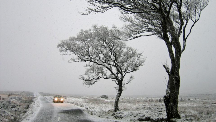Silné poryvy větru a popadané stromy mohou o víkendu zkomplikovat dopravu