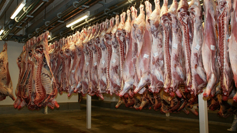Výroba masa v Česku byla loni nejvyšší za posledních deset let