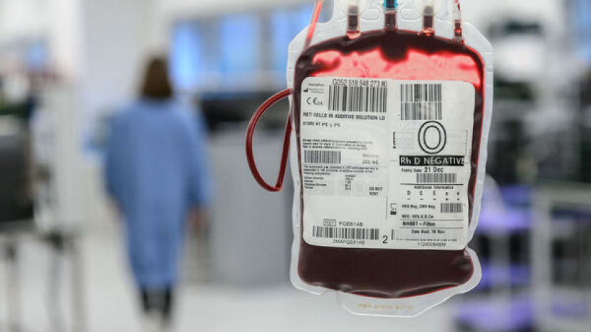 Primářka: Krev nenahradíme ani v 21. století. Je třeba vychovávat nové dárce
