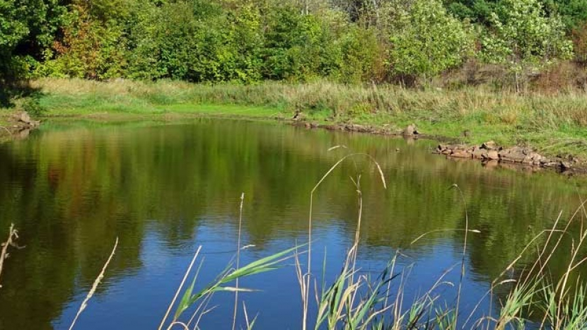 Ve středních Čechách se kvalita vody v přírodních koupalištích mírně zlepšila