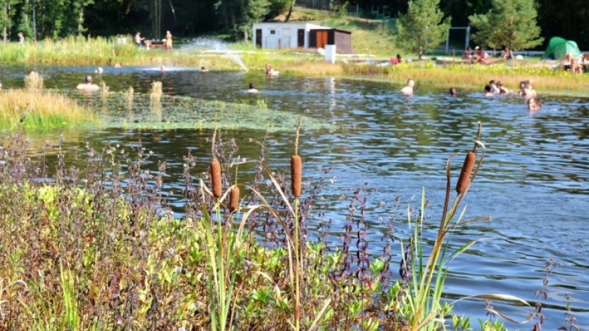 Kvalita vody ve středočeských koupalištích byla po celé léto na výborné úrovni