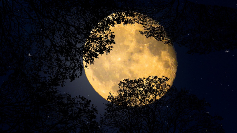 Příští rok spatří lidé na noční obloze přiblížení planet s Měsícem nebo letní superúplněk