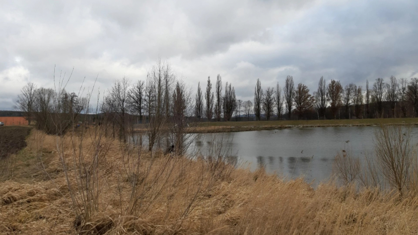 Vokačovský rybník čeká výlov