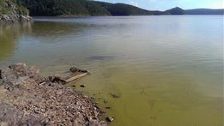 Kvalita vody ve vodní nádrži Orlík se v uplynulých dnech rapidně zhoršila