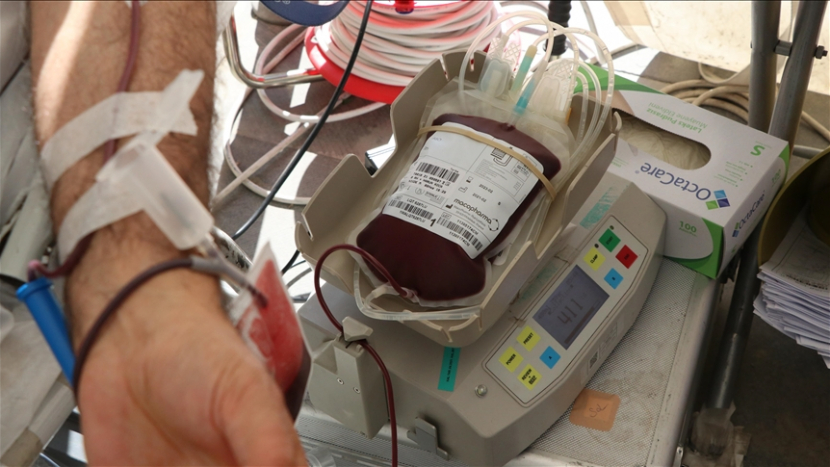 Krev dárců se bude zkoumat podrobněji, pro dárce se možná zmírní podmínky
