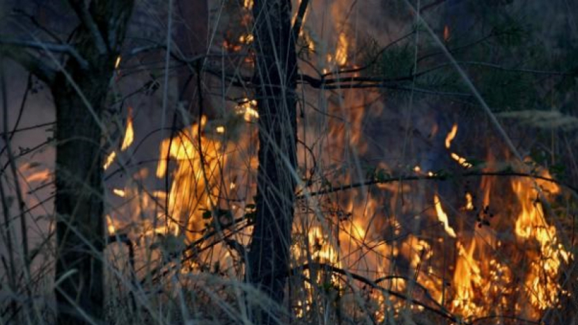 Meteorologové rozšířili výstrahu na nebezpečí požárů na většinu Čech