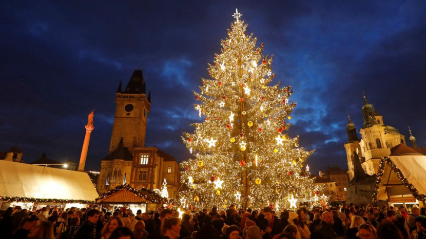 Praha začíná hledat vánoční strom, lidé mohou do půlky září zasílat tipy