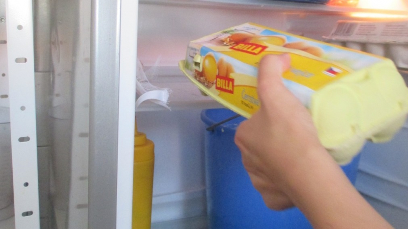Hygienici zkontrolovali občerstvení v Nové Vsi pod Pleší. Okamžitě zakázali prodej zmrzliny