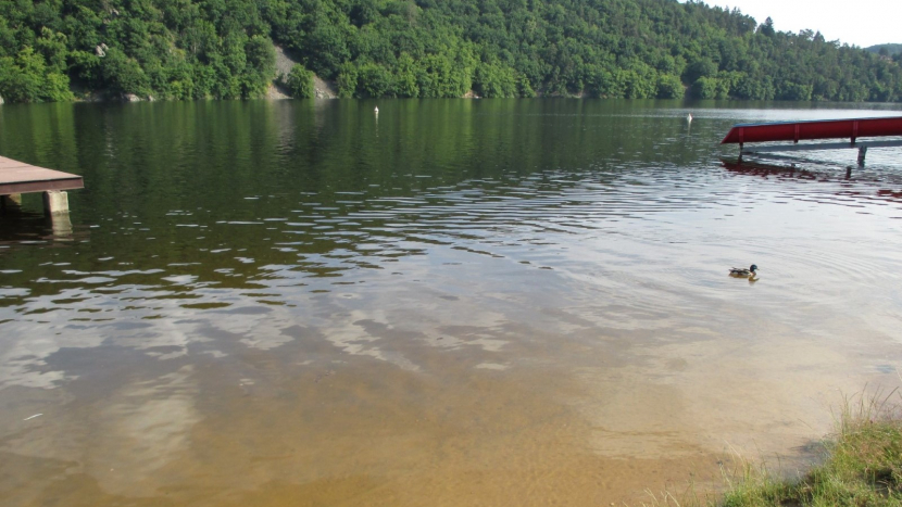 Hygienici hodnotili kvalitu vody ve středních Čechách, v Pilském rybníku evidují zvýšený obsah sinic a chlorofylu