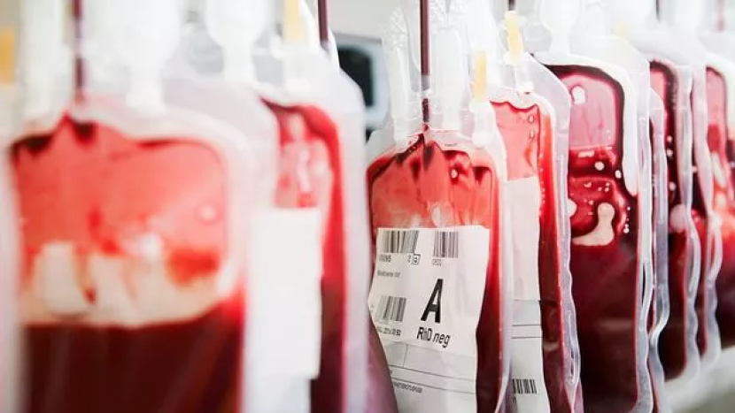 Příbramská nemocnice shání na listopad dárce krve