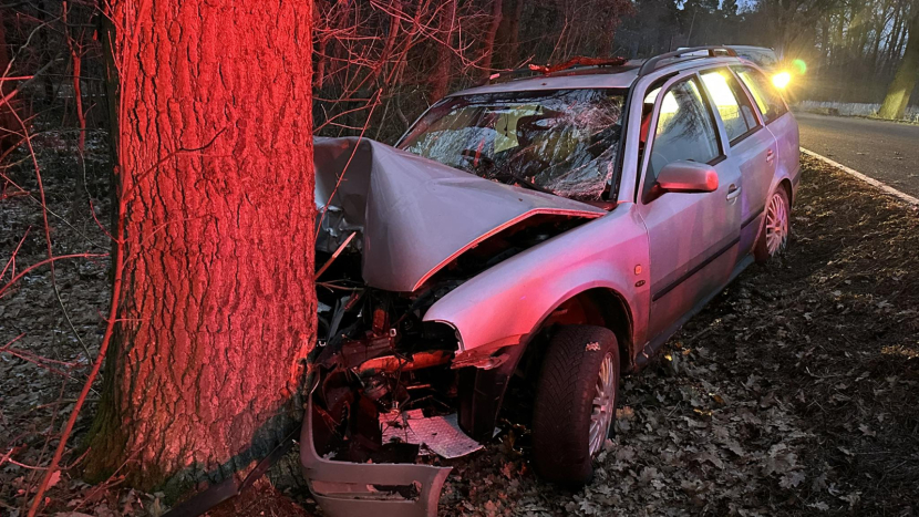 U Horčápska narazilo auto do stromu, řidič skončil v nemocnici