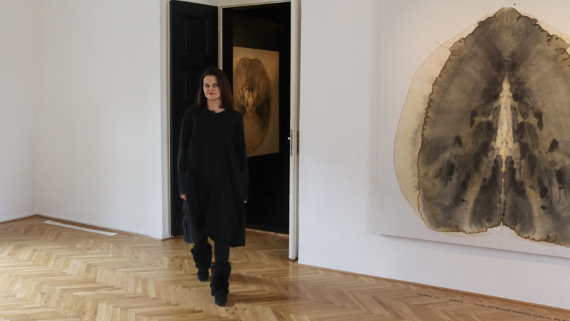 Nová ředitelka Galerie Františka Drtikola chce obměnit stálou expozici