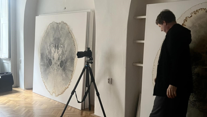 Galerie Františka Drtikola v Příbrami otevřela výstavu Petra Nikla Můry