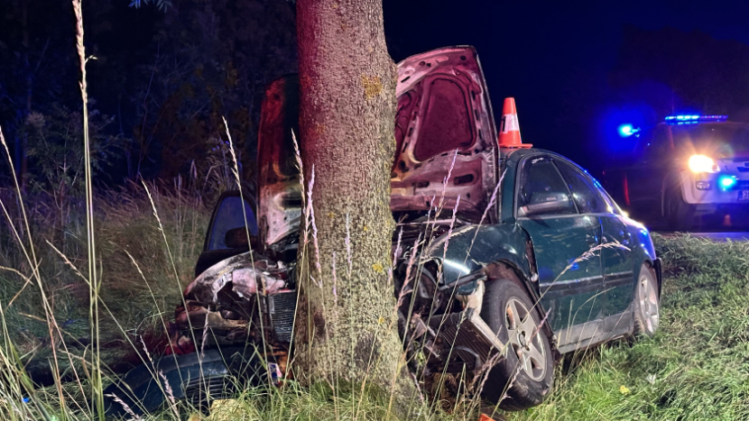 Řidiče u Zalužan mělo oslnit protijedoucí auto, havaroval do stromu