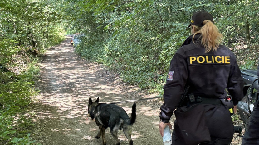V hořovickém lese našla žena pobodaného muže, policie pátrá po pachateli