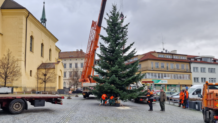 Příbram hledá vánoční strom, který bude během adventu zdobit náměstí