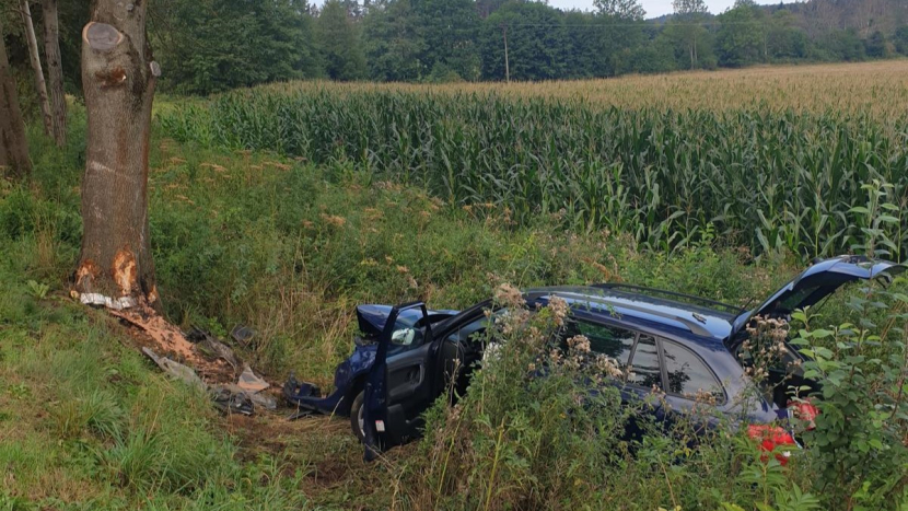 Žena se dvěma dětmi ve vozidle narazila nedaleko Klenovic do stromu