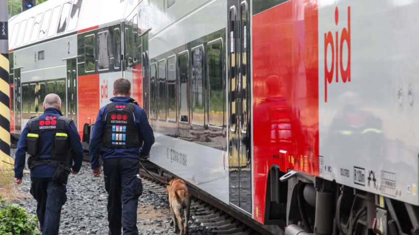 Opatření proti sprejerům a jejich vandalismu ve vlacích zabrala. Několik sprejerů se podařilo chytit přímo při činu