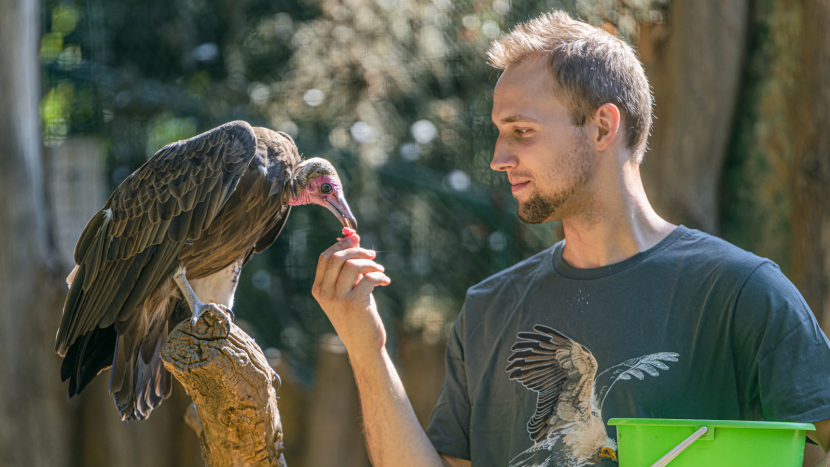 Mezinárodní den zvířat nabídne v Zoo Praha komentované krmení