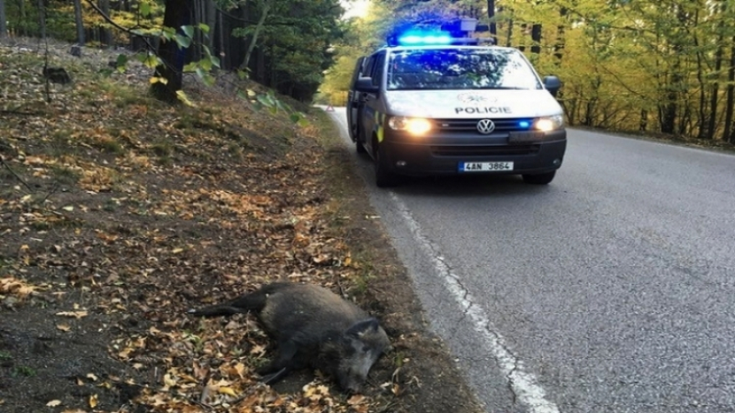 Střetů se zvěří na silnicích neustále přibývá, příbramští policisté vyjížděli letos již k 200 nehodám