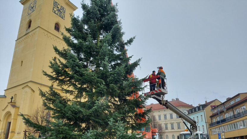 Příbramské náměstí už zdobí vánoční strom