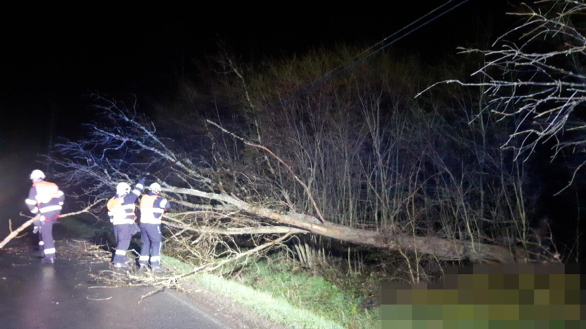 Silný vítr ve Středočeském kraji lámal či vyvracel stromy. 6000 domácností bez elektřiny