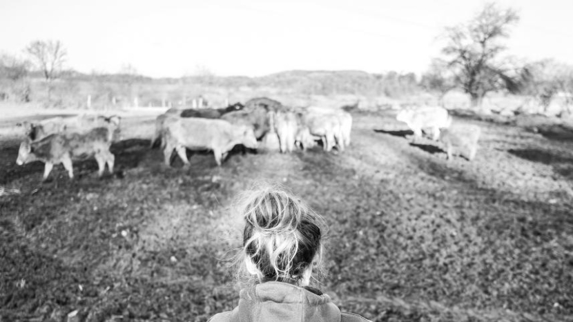 Sedlčanská knihovna přiblíží život farmářů skrze objektiv Martina Zemánka