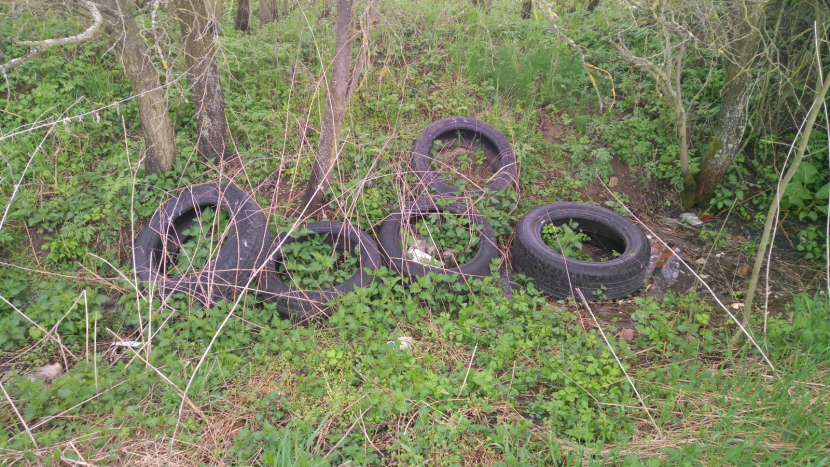 Úklid Česka se týká i Orlíku